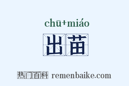 出苗是什么意思的图片